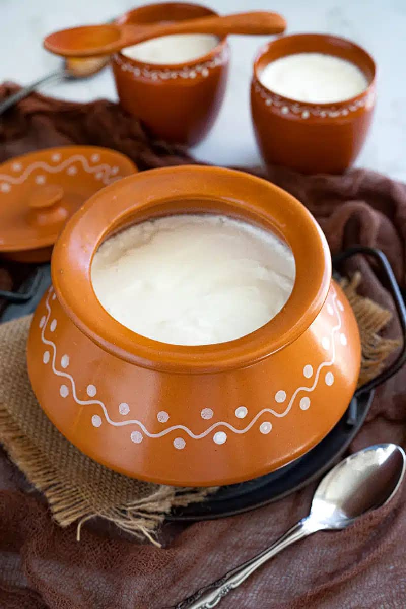 Fresh Curd Supplier in Aligarh