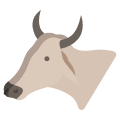 Sarwati Fresh Milk